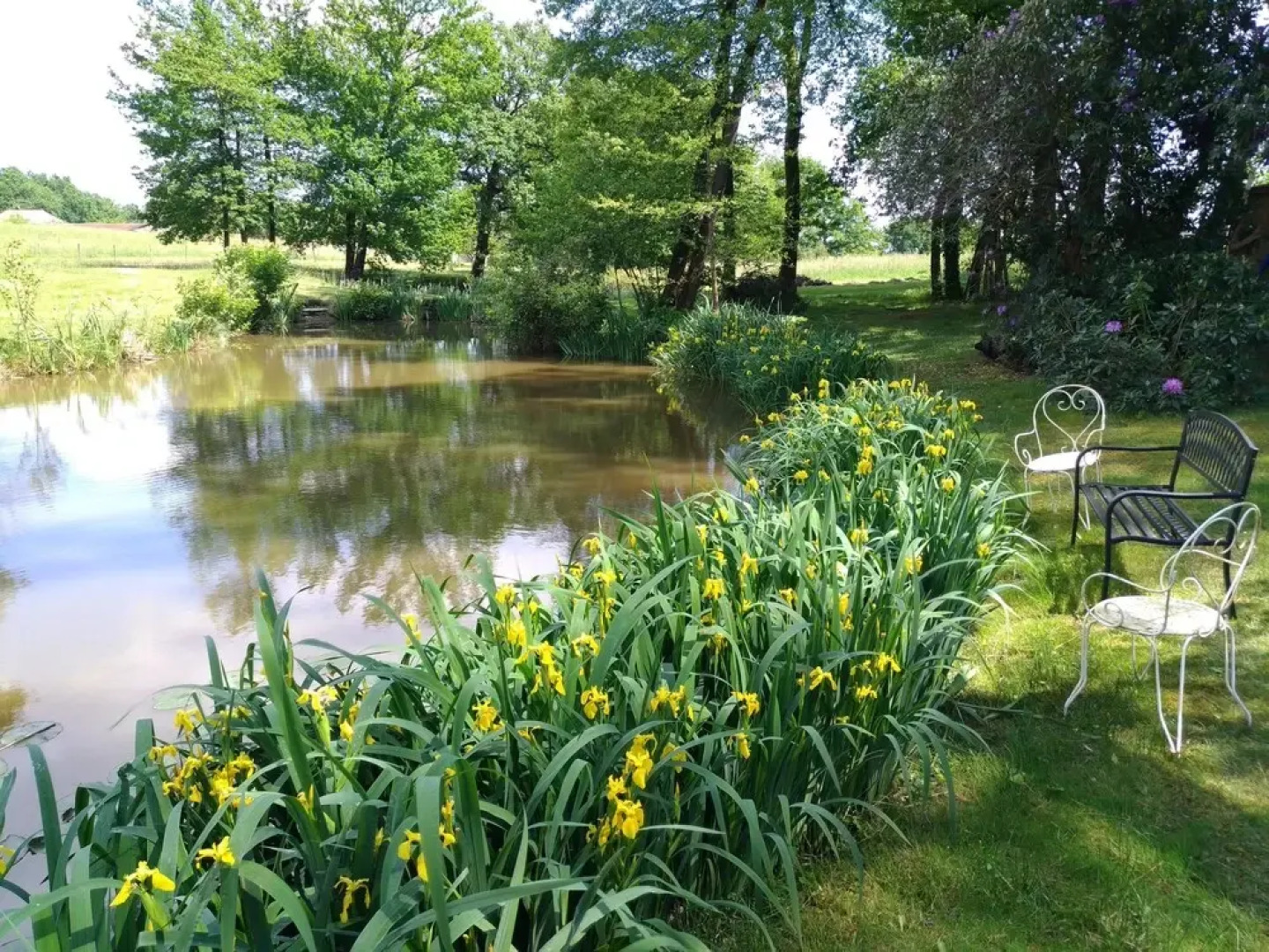 Chambres d'hôtes l'étang de l'aiguille