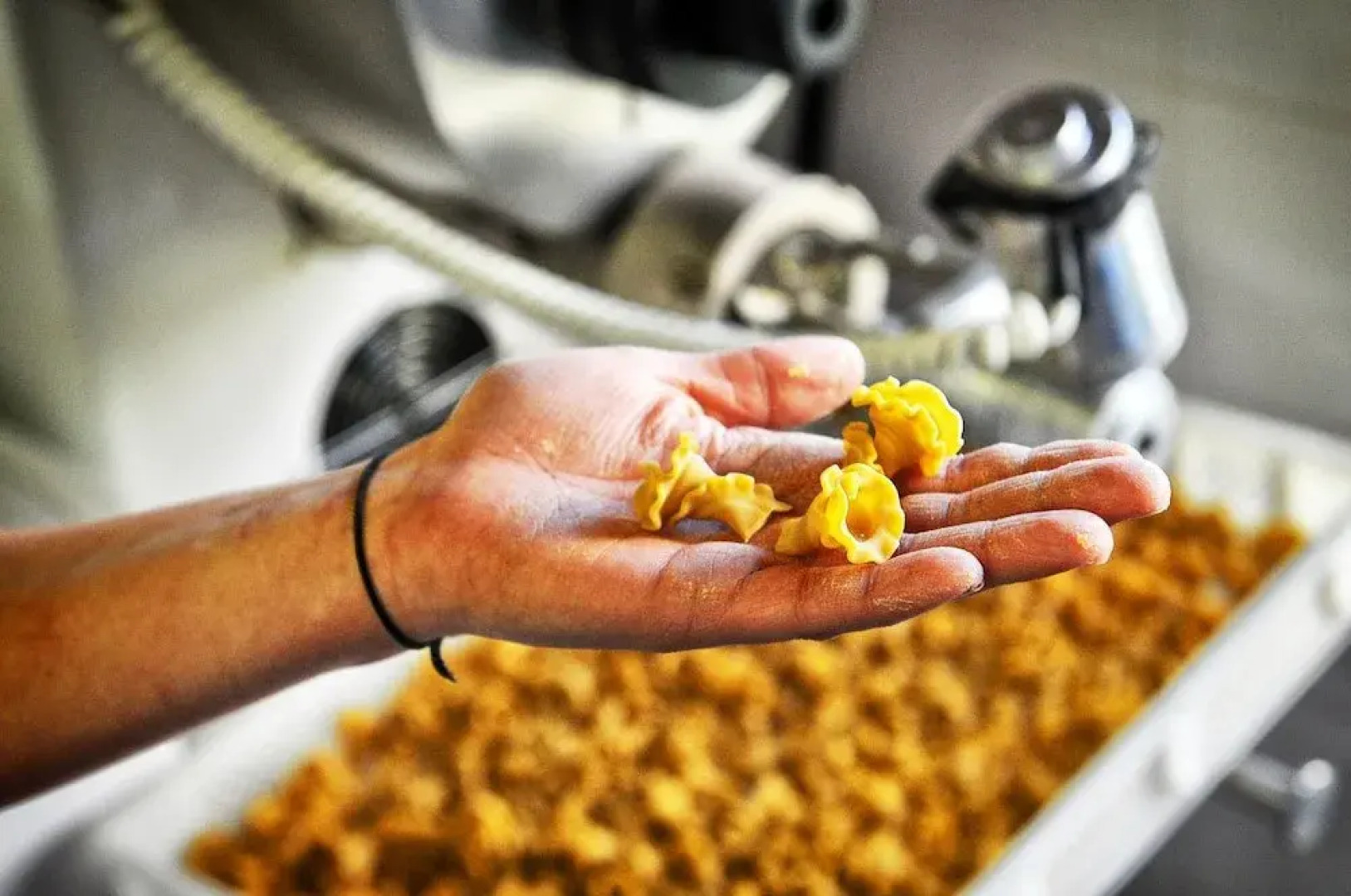 Agriturismo Del Cimone - La Palazza