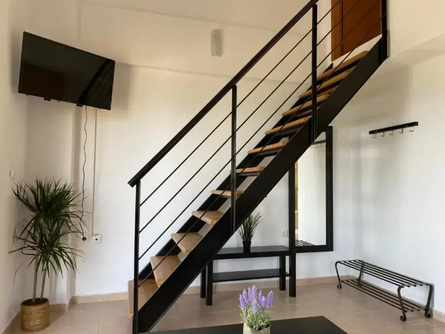Sofia studios