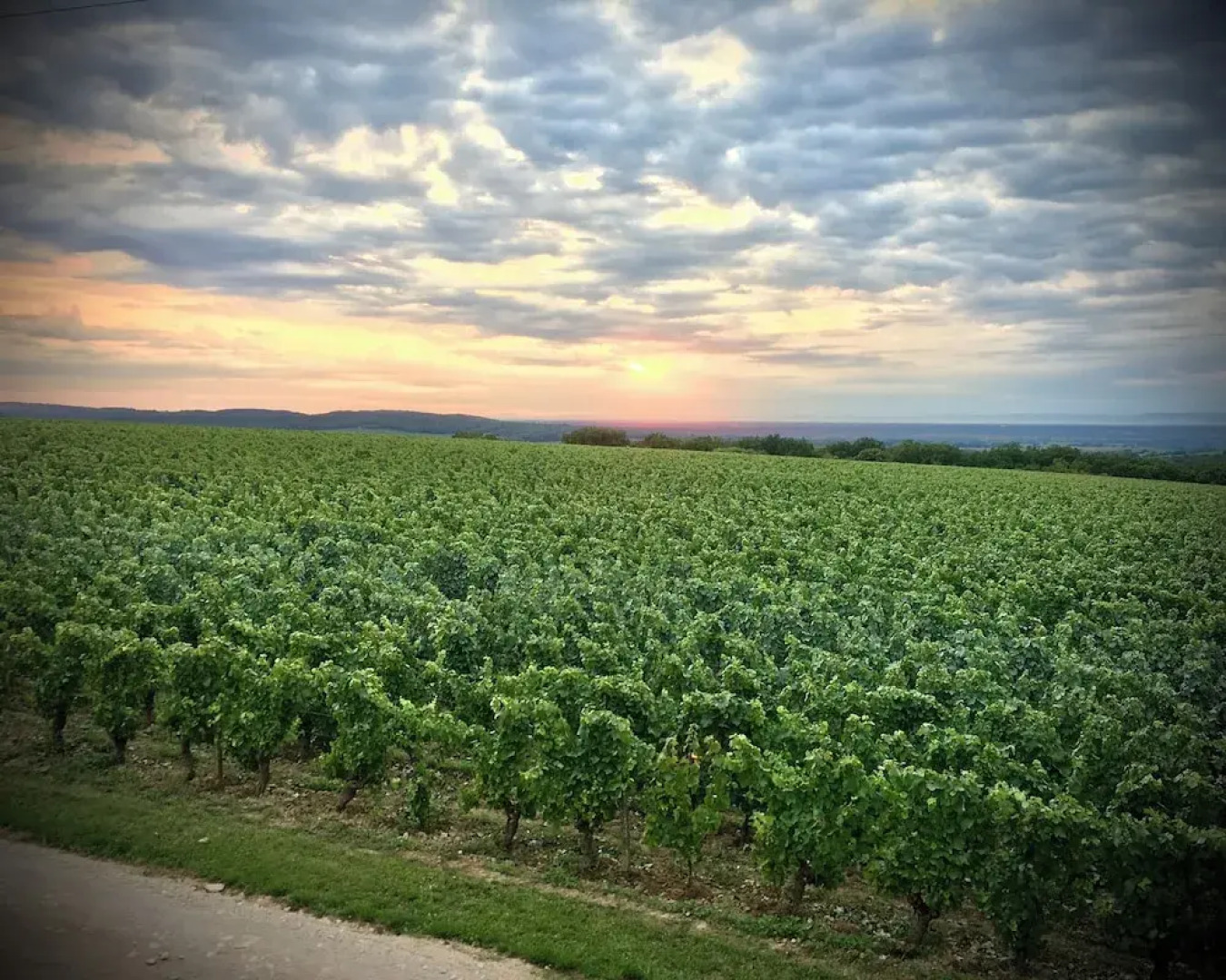 Domaine Joseph LAFARGE Wine Resort Oeno-tonneaux expérience