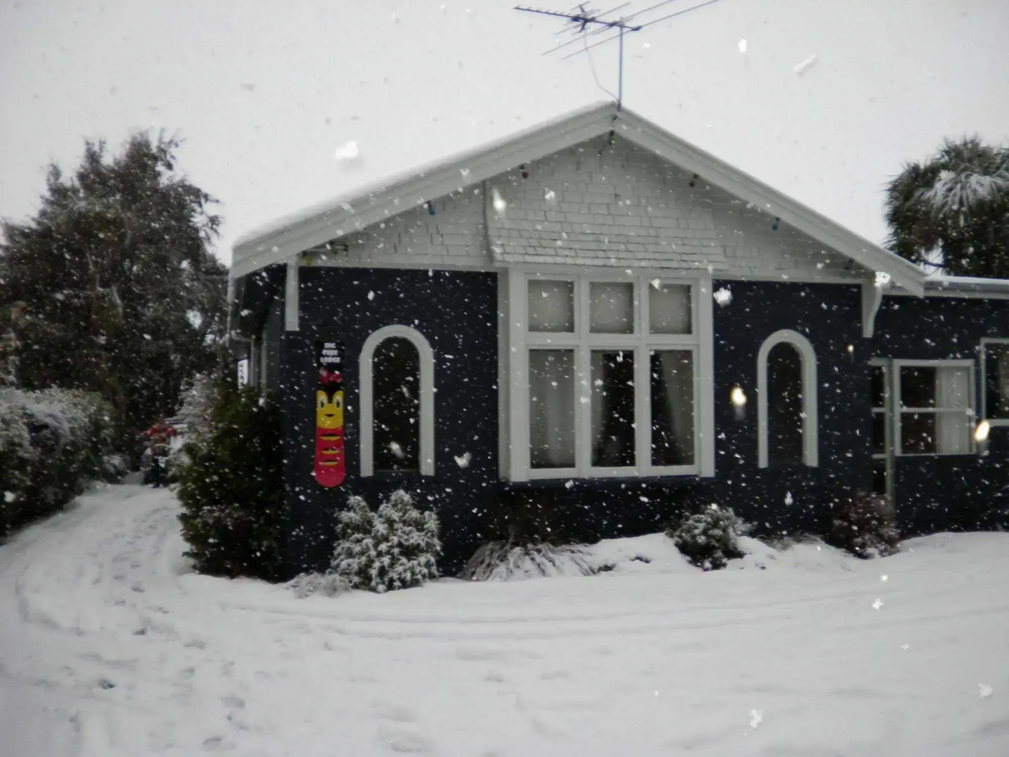 Big Tree Lodge Methven - Hostel