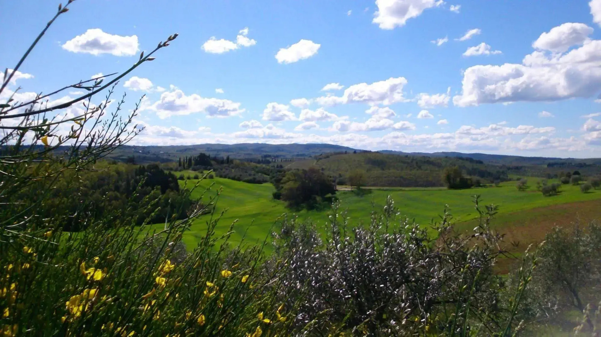 Castello Del Nero - Podere San Filippo