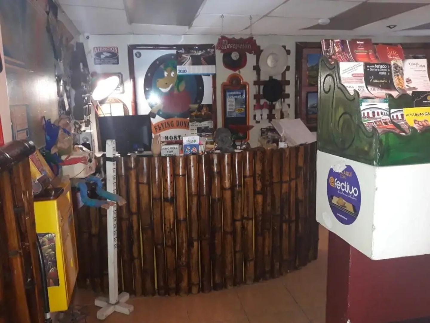 Flying Donkey Hostal - Hostel