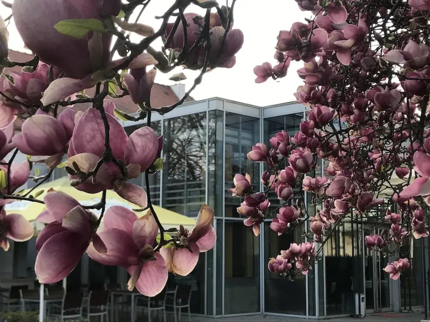 City Partner Park Hotel Pelikan