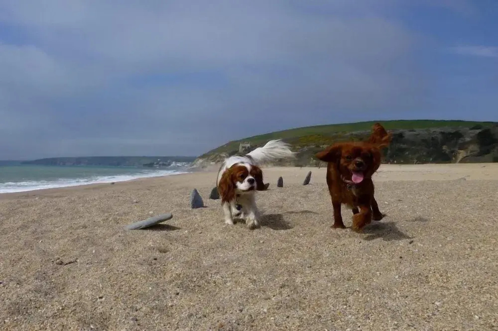 Cowshed Cottage Located nr Kynance Cove