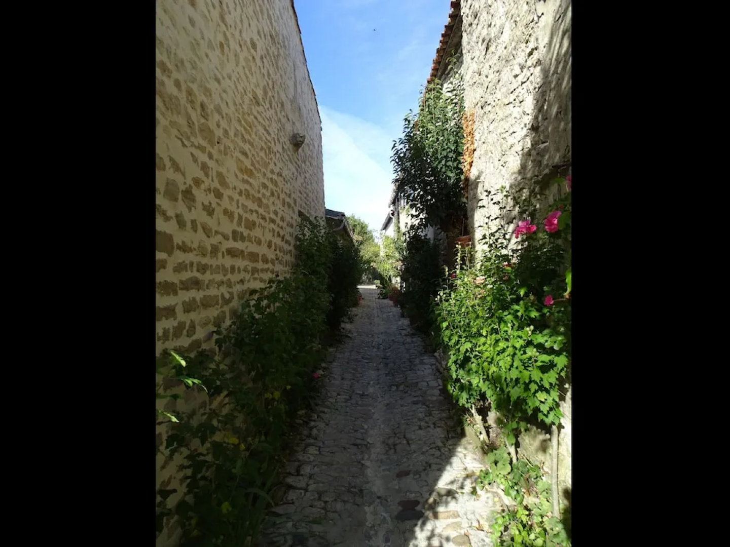 Maison Salicorne