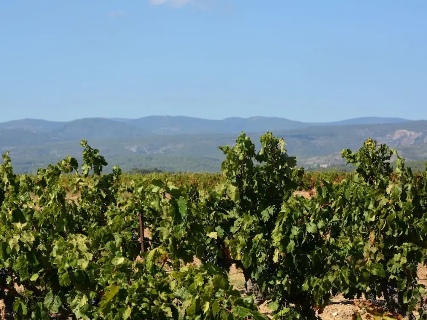 Serene Villa in Caunes-minervois With Private Pool