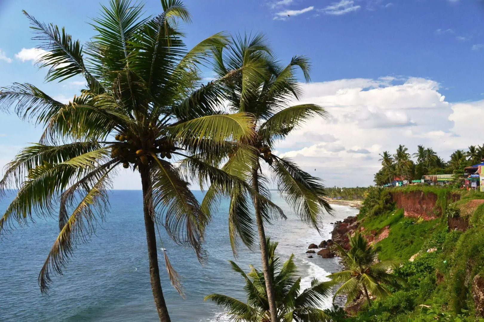 Savithri Inn Bamboo Cottages & Resorts