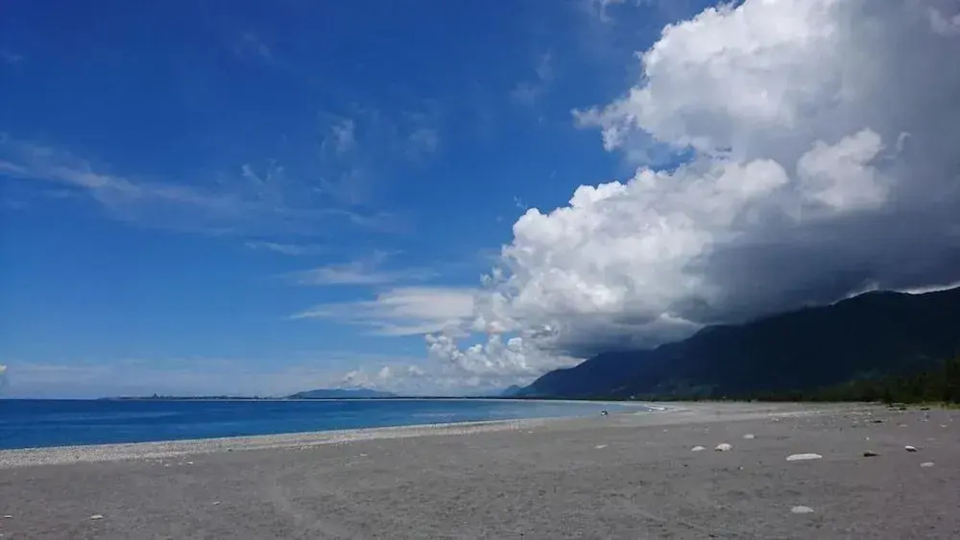 Flower and Green Collection