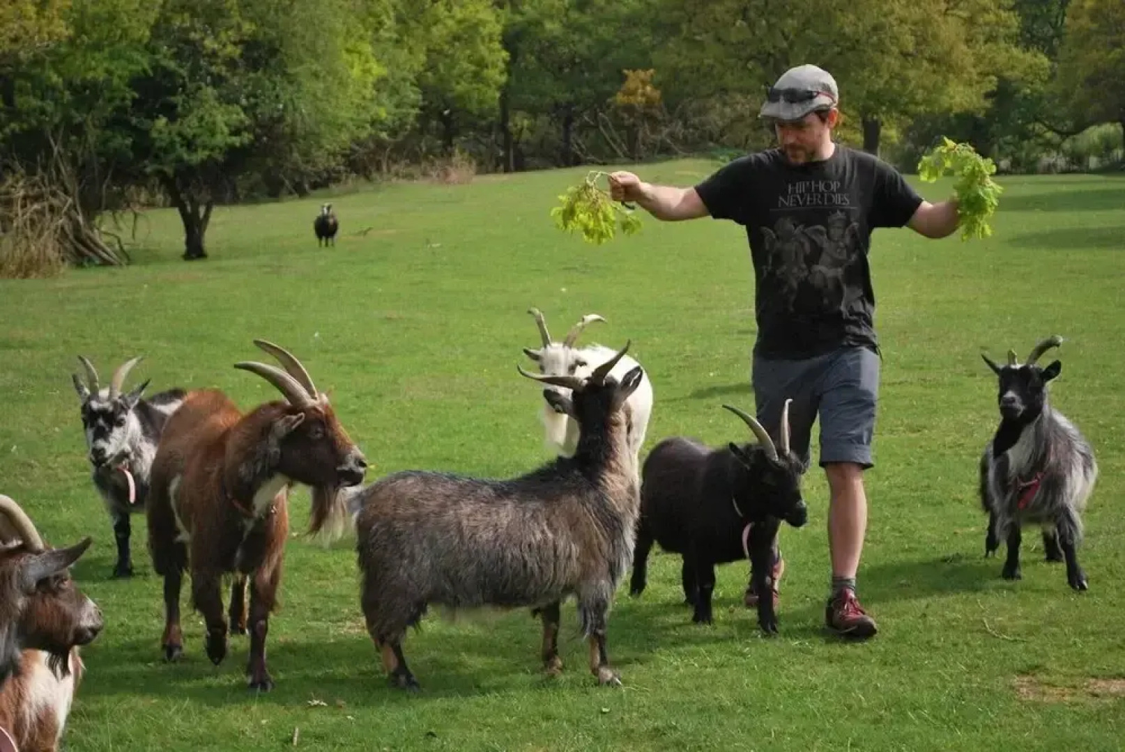 Idlewild Animal Sanctuary Farmhouse Stay - Charity