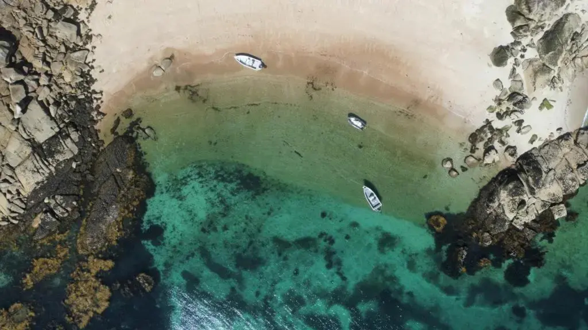 Résidence LES PIEDS DANS L EAU