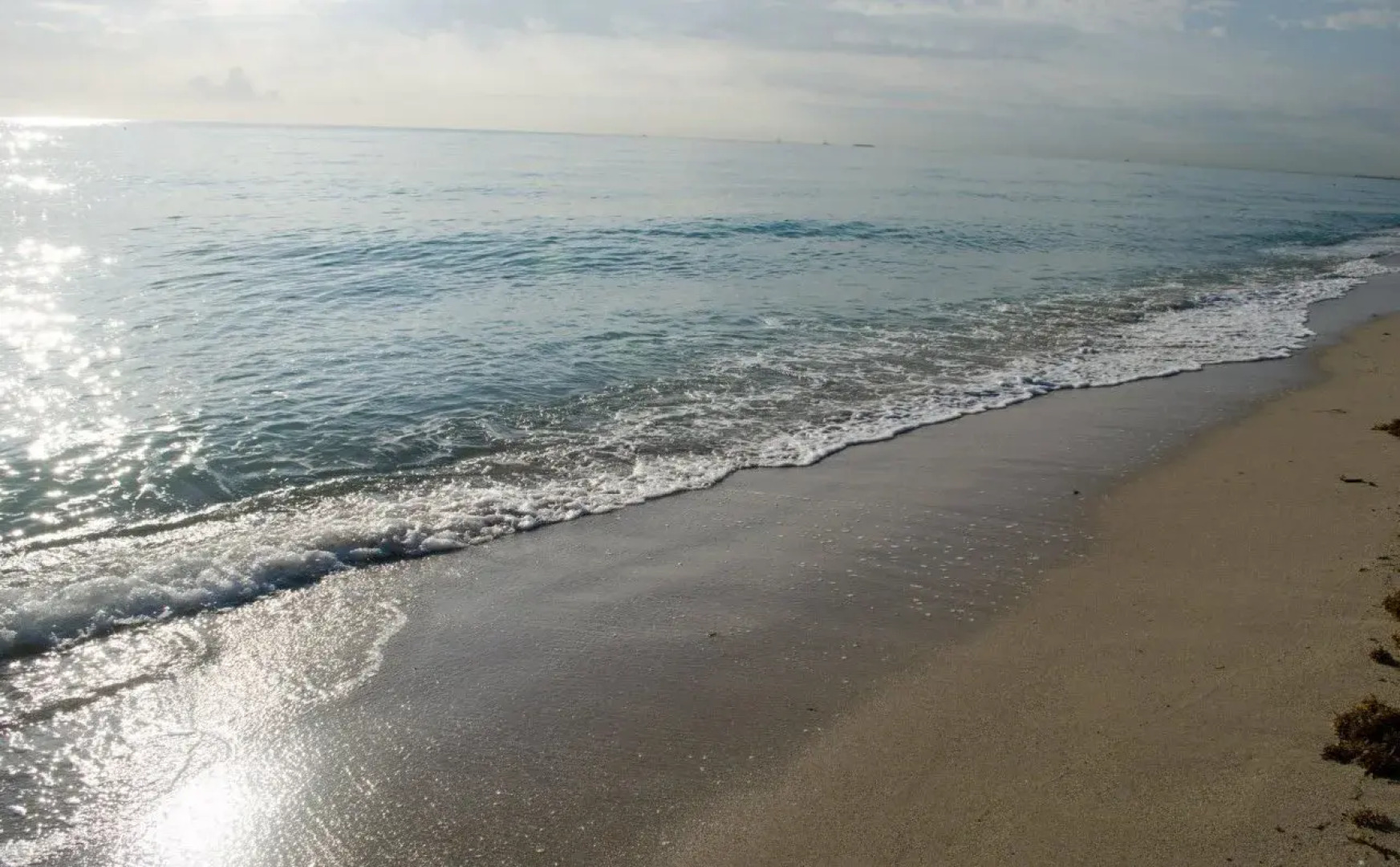 National Hotel, An Adult Only Oceanfront Resort