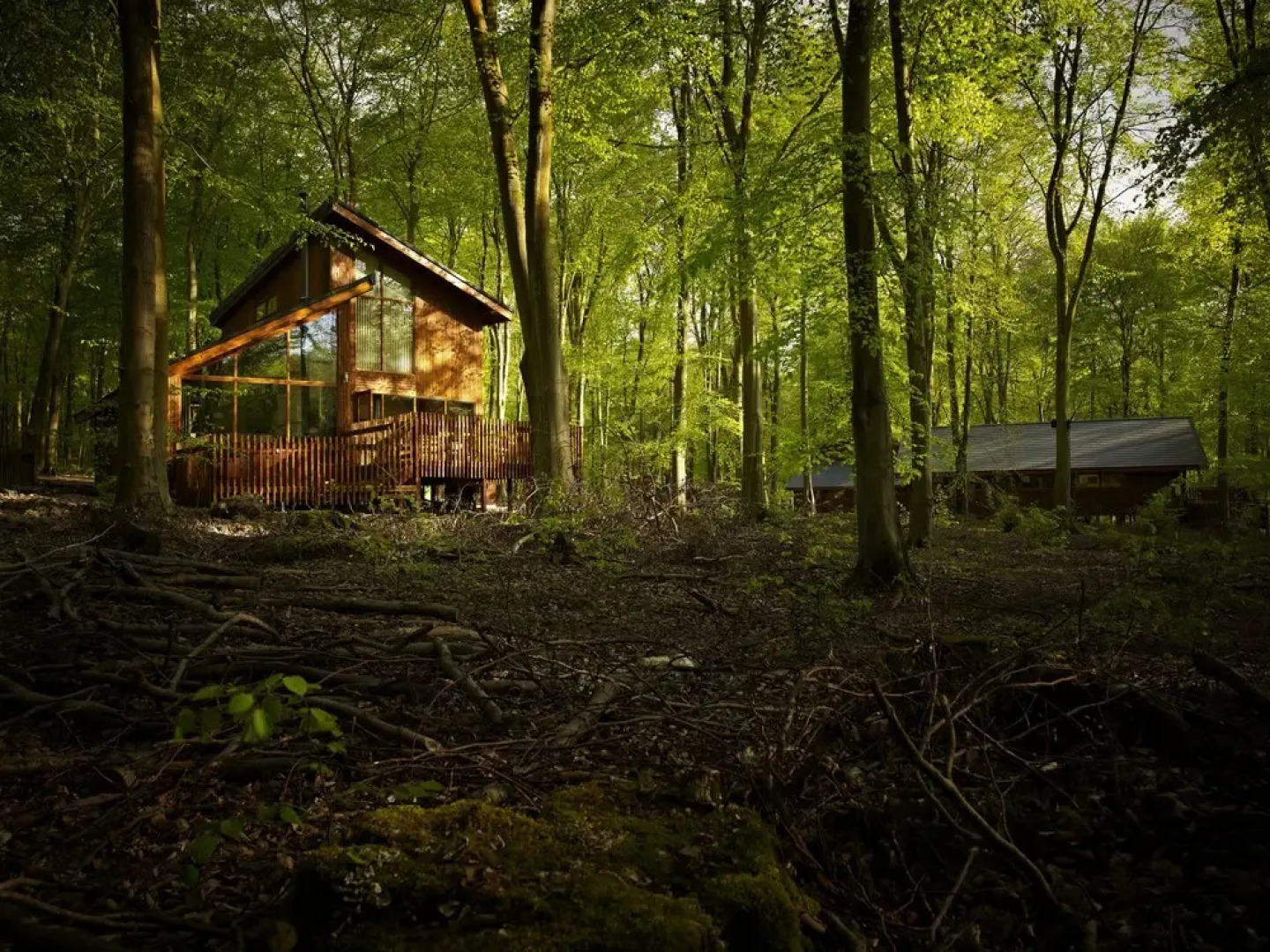 Forest Holidays Blackwood Forest