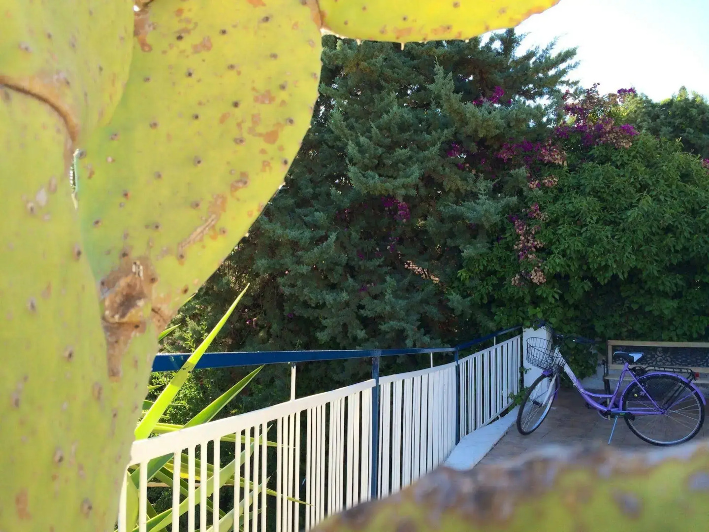 Blue Island Villa Caterina