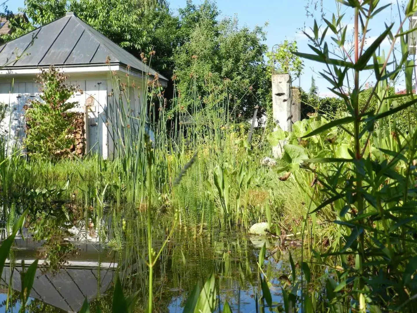 Blue Wall BnB - business apartments