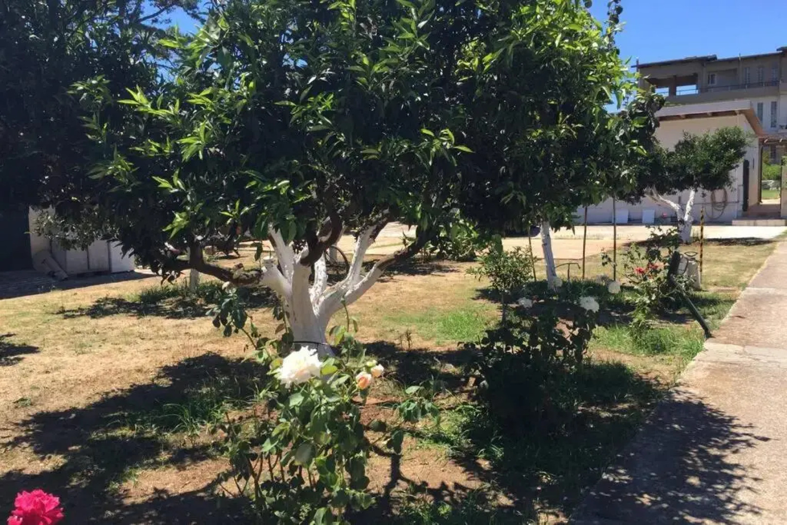 Swash & Ripple Studio by the sea