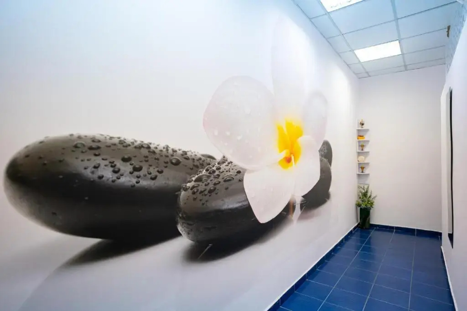 Caprioara Spa&Wellness Resort