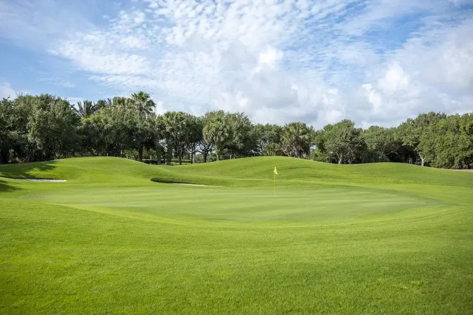 Cinnamon Beach Nautilus