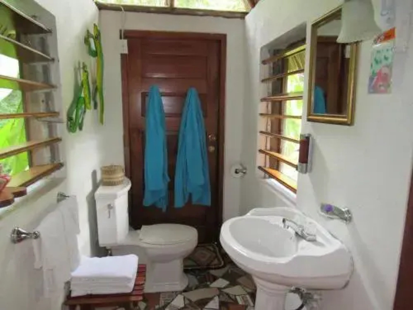Macaw Bank Jungle Lodge