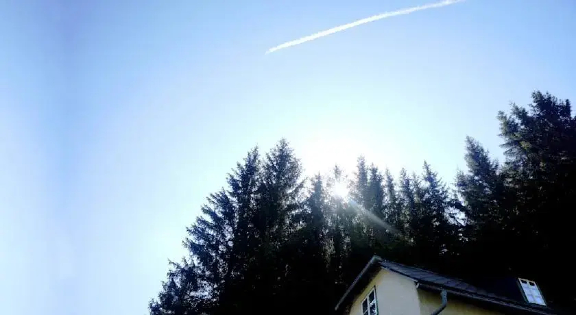 Zinkhaus - Waldheimat Alpl