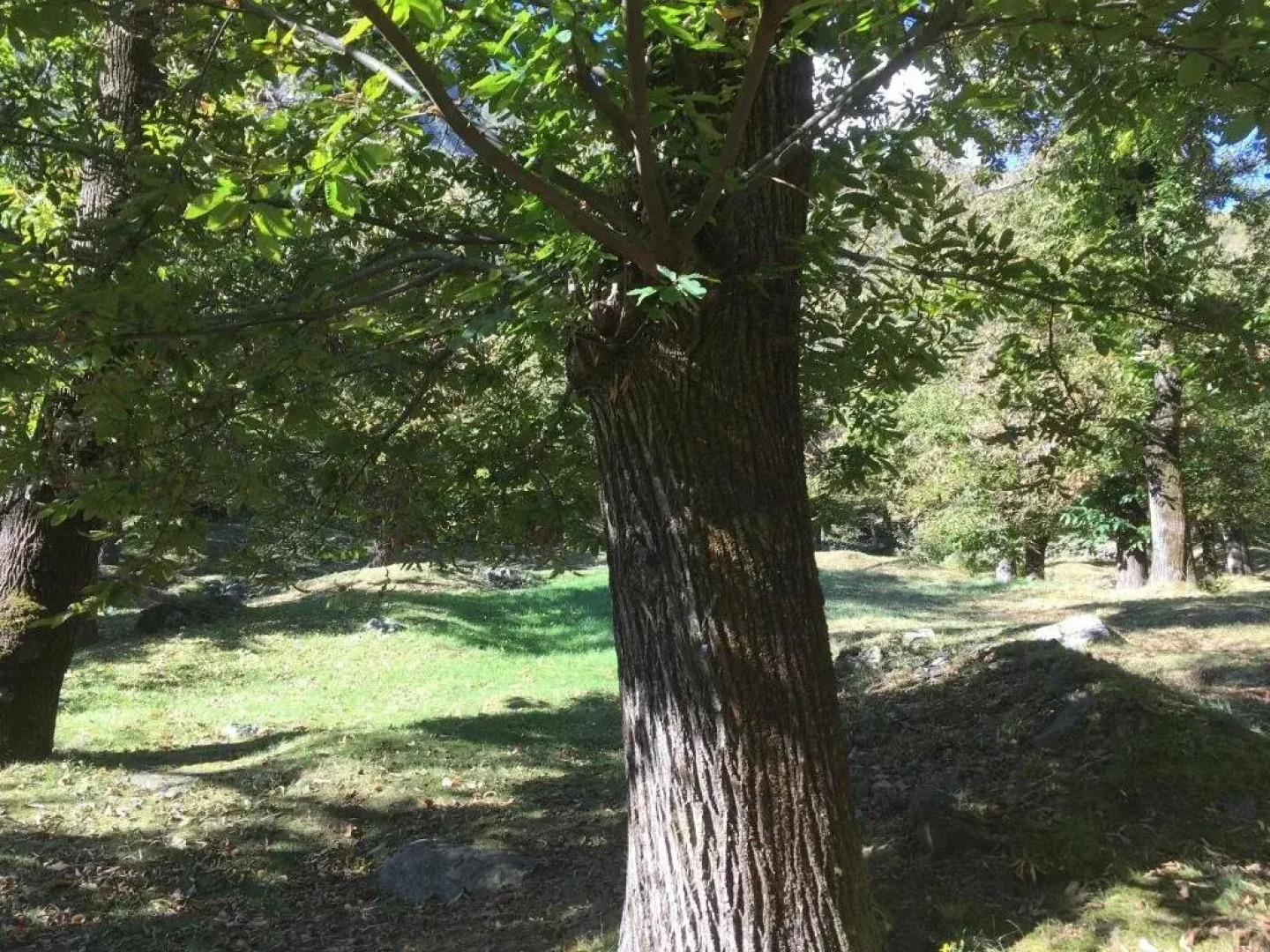 Boutique Hotel Albergo Stazione