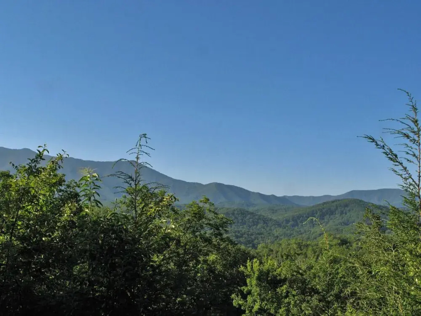 Highpoint Escape - Three Bedroom Cabin