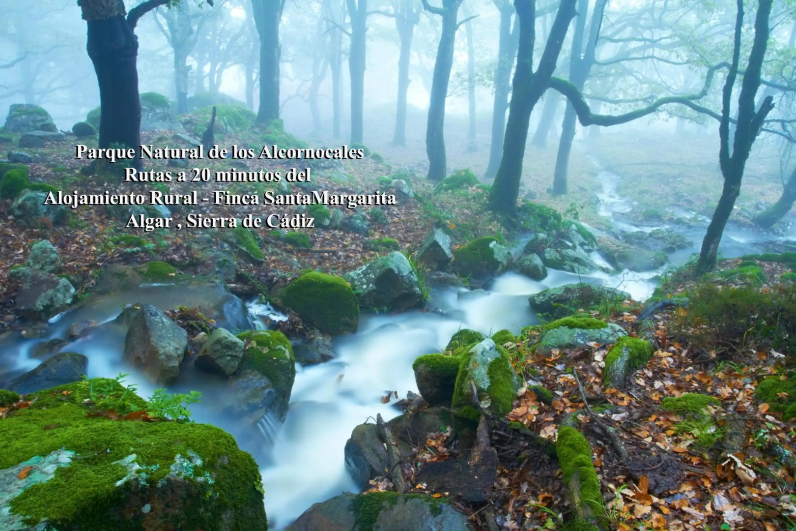 Alojamiento Rural - Finca Santa Margarita