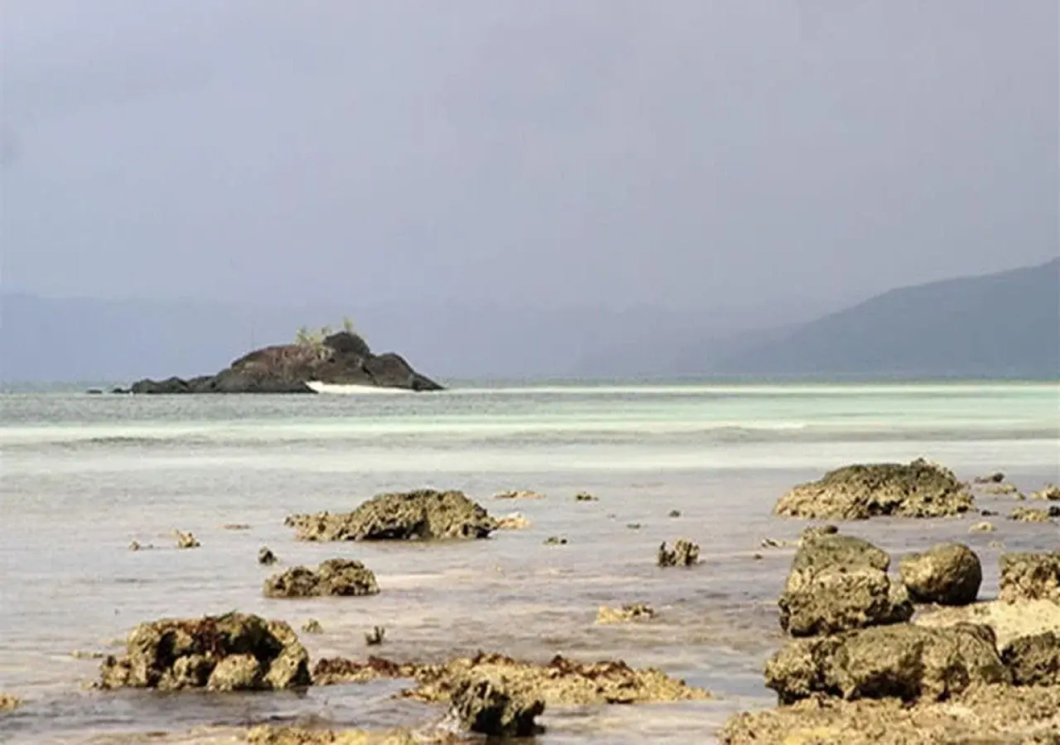 Tarzans Beach Resort