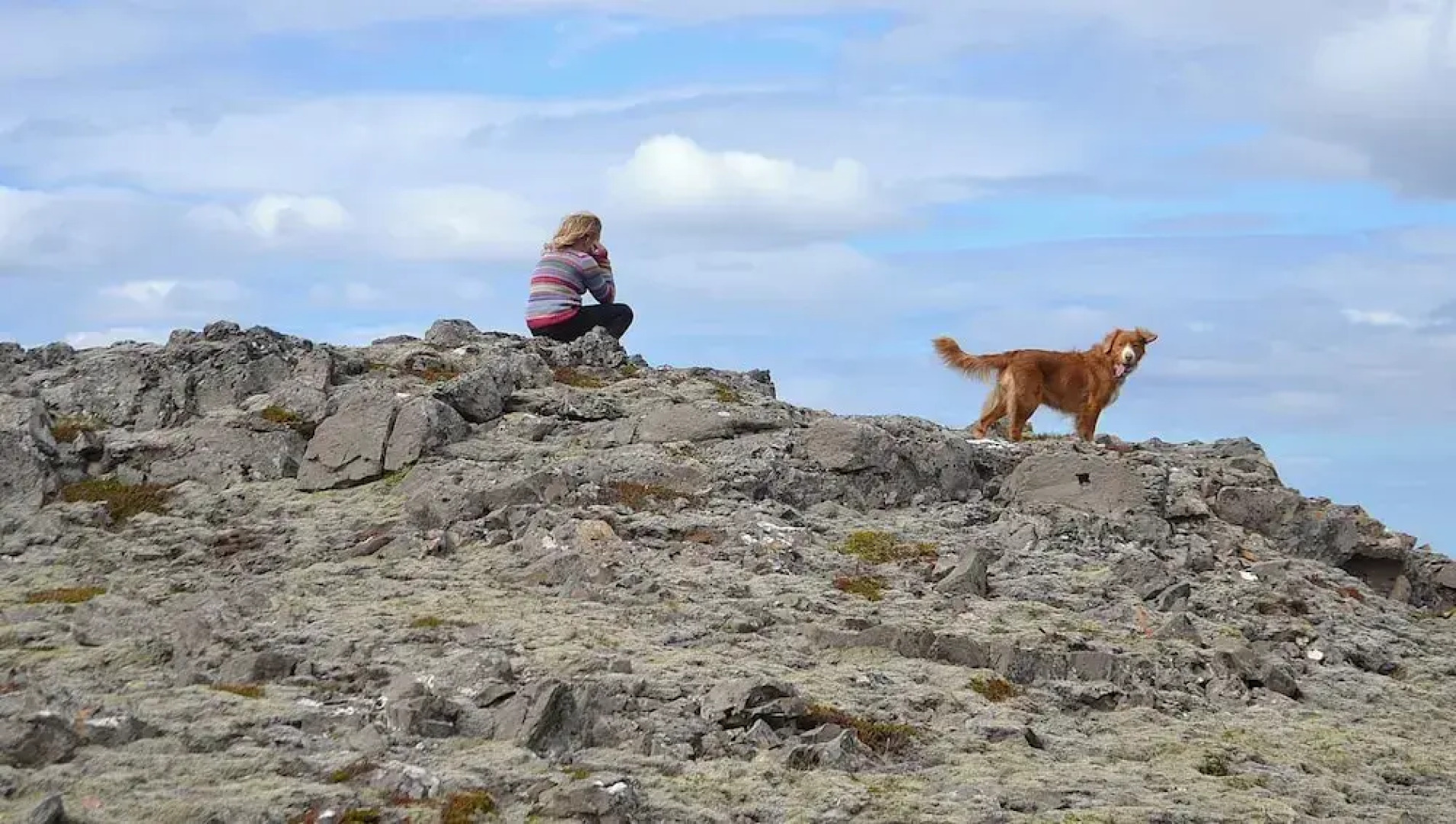 Lambalaekur Guesthouse