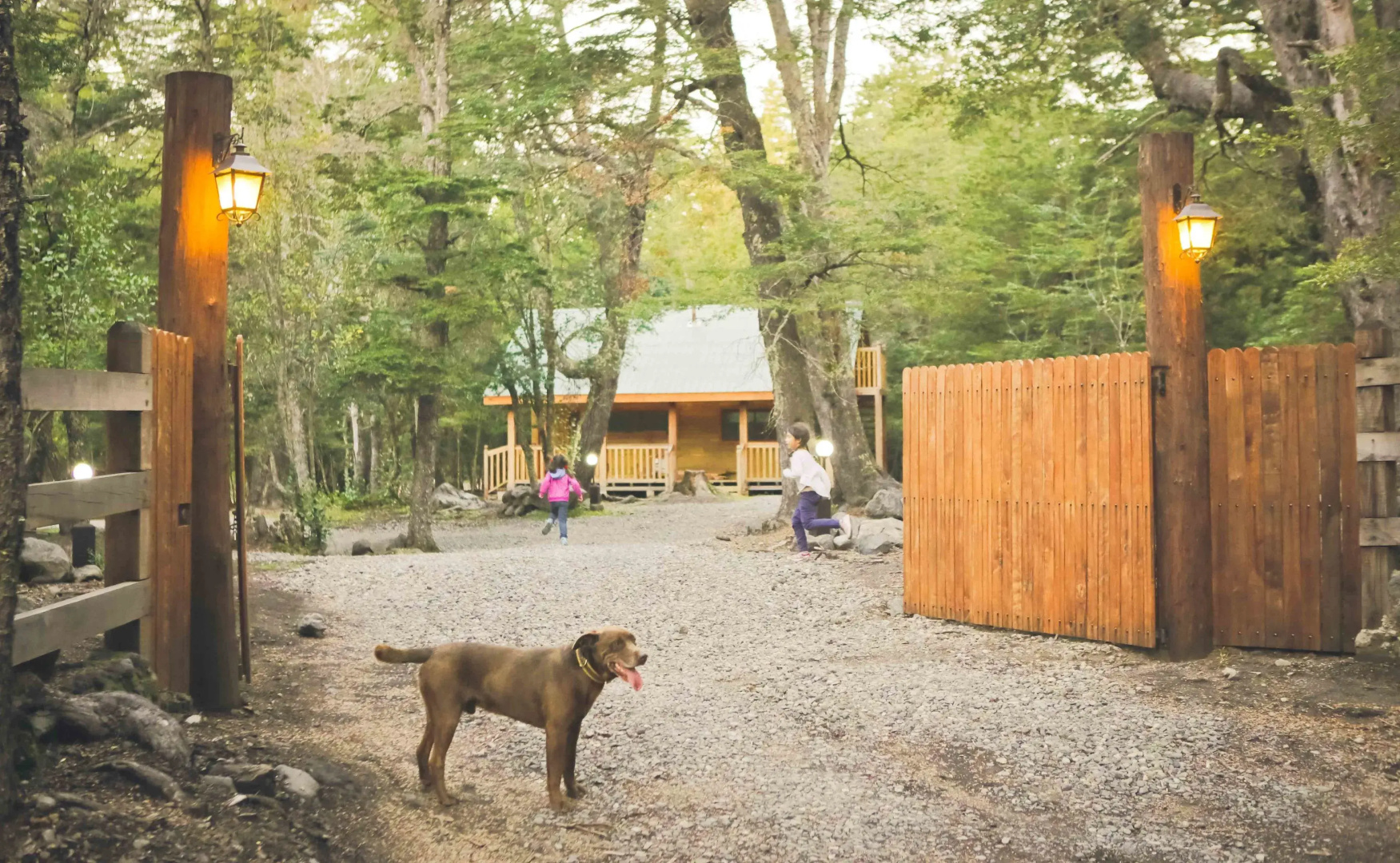Llaima Camp