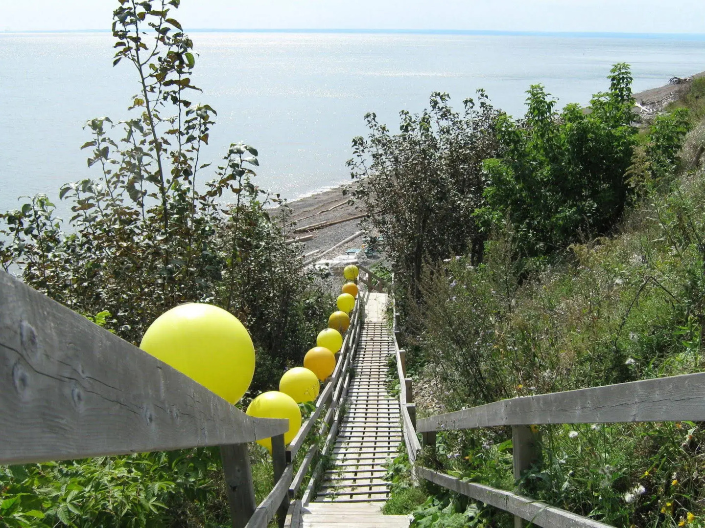 Motel Carleton sur mer