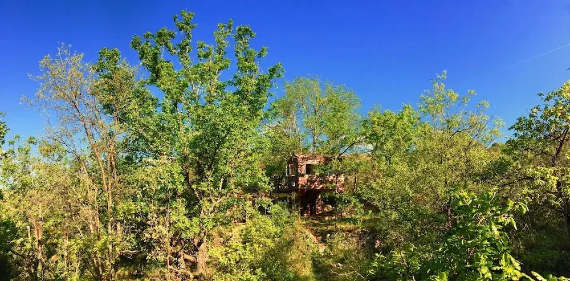 Wild Boar Mountain - France