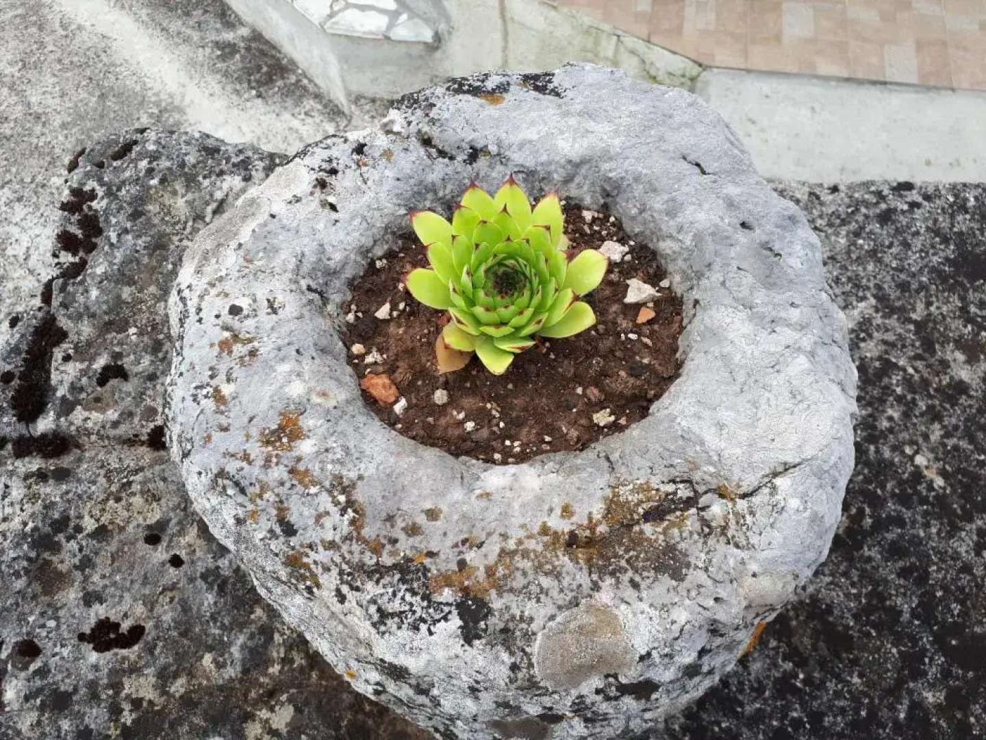 Kuća Za Odmor Mikleus