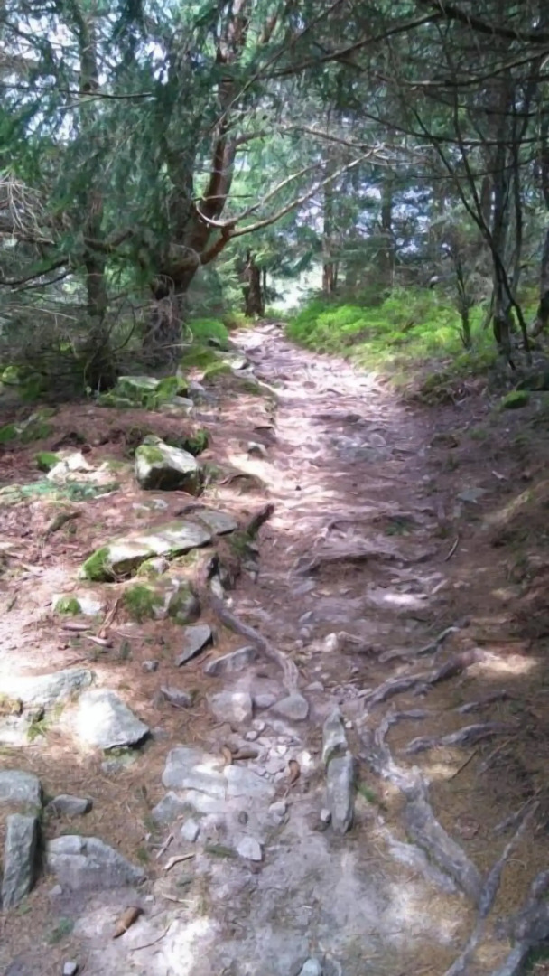 VVF Alsace Orbey Colmar