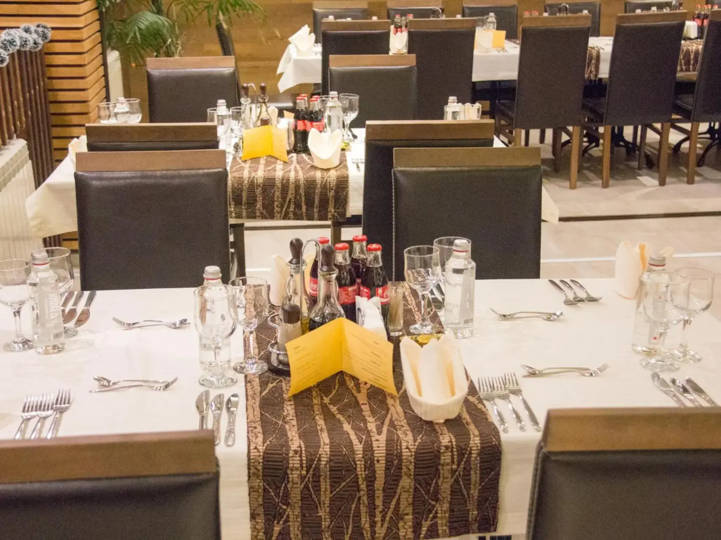 Park Hotel Asenevtsi