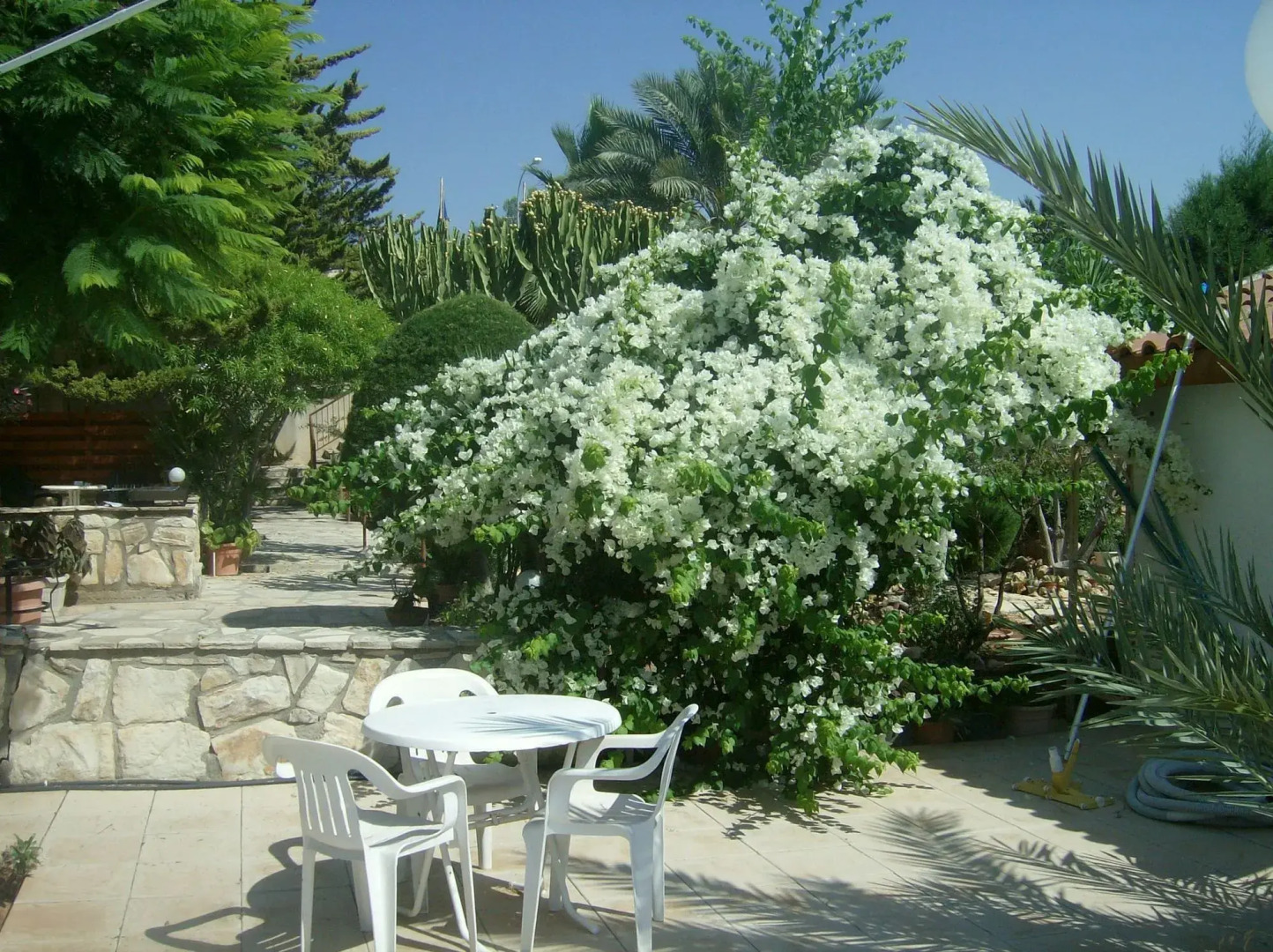 Rantzo Holiday Apartments