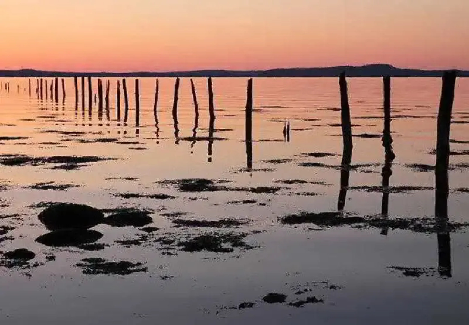 Hotel Fairmont Algonquin - Studio