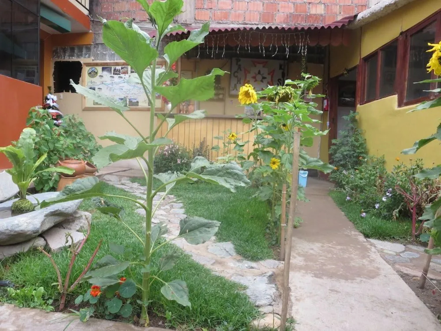 Pachakusi Guest House B&B