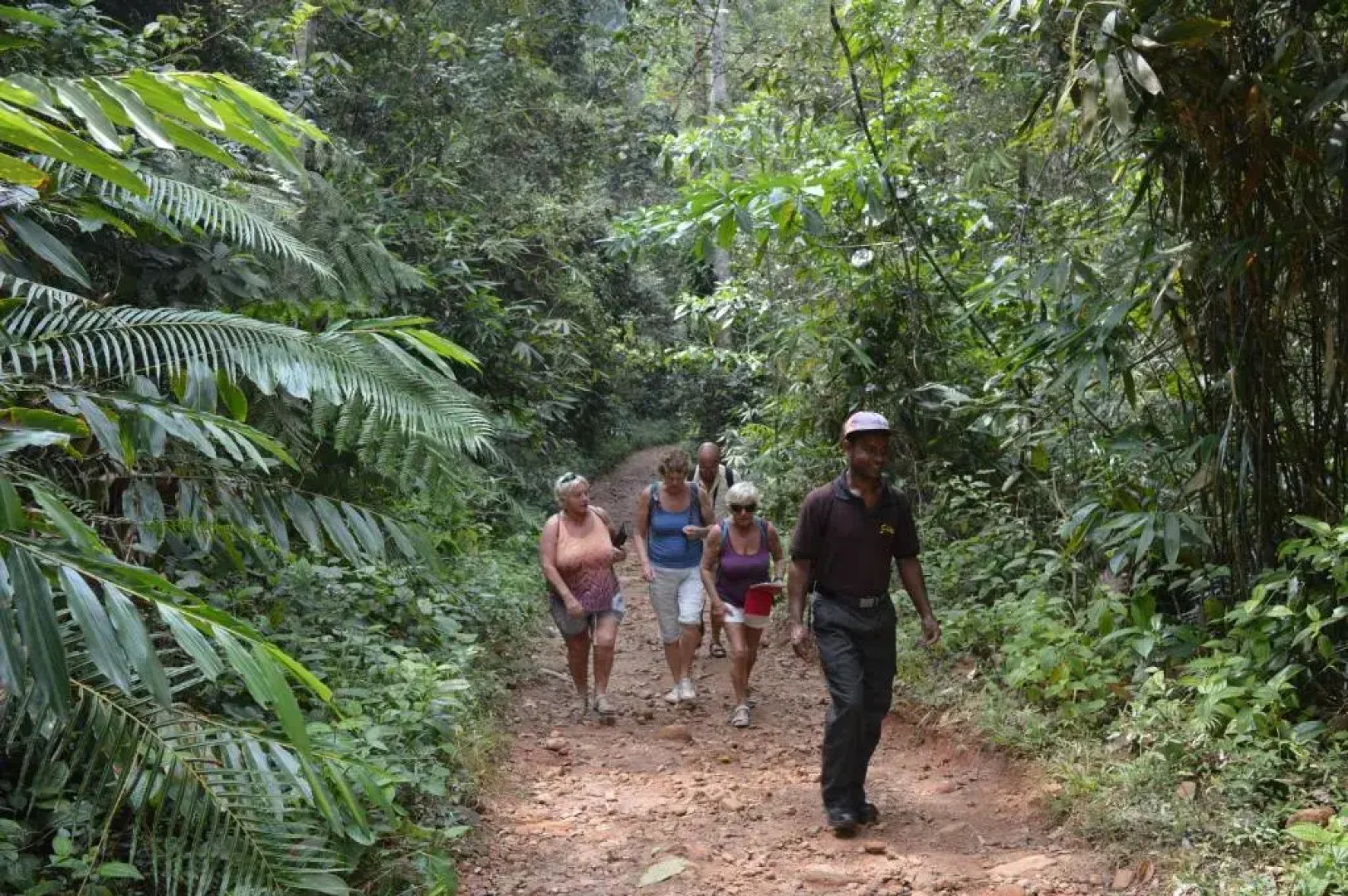 Feel Beach Apartments