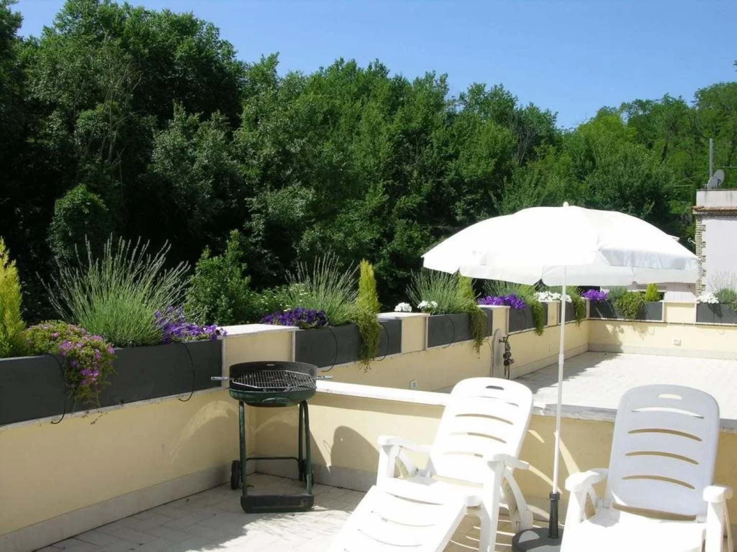 Aurelia Vatican Apartments