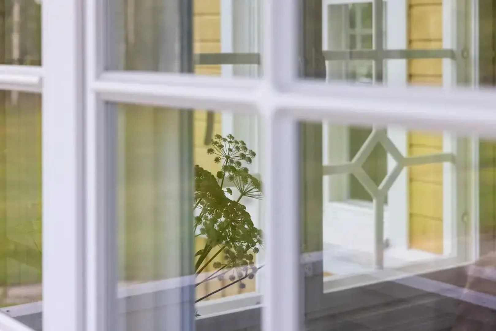 House of Northern Senses