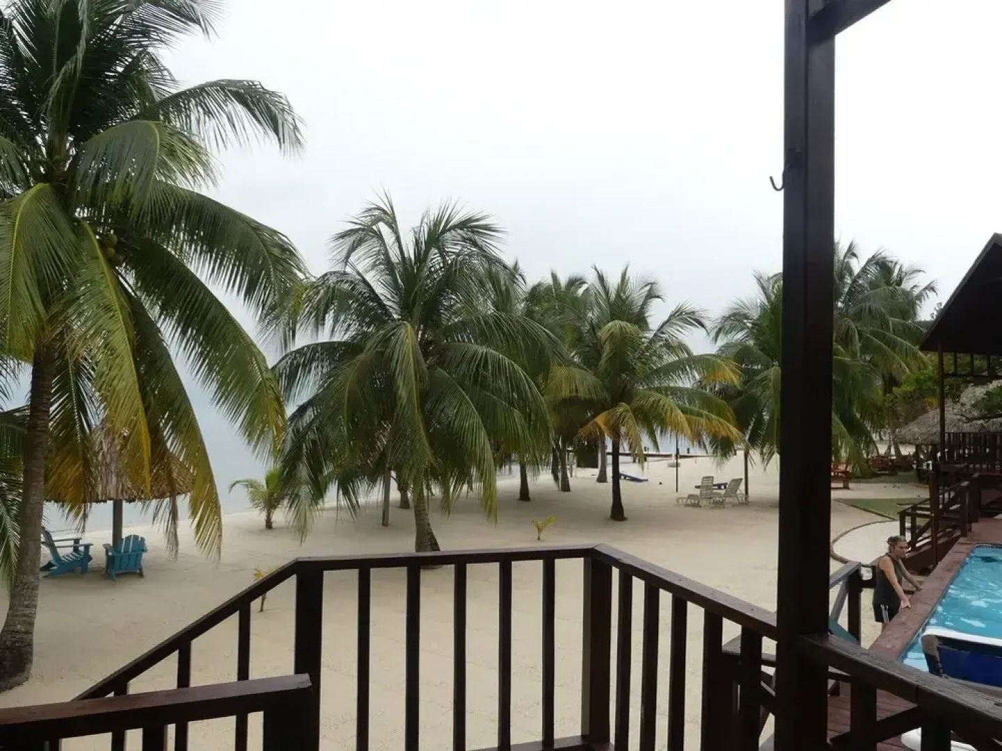 Green Parrot Beach Houses and Resort