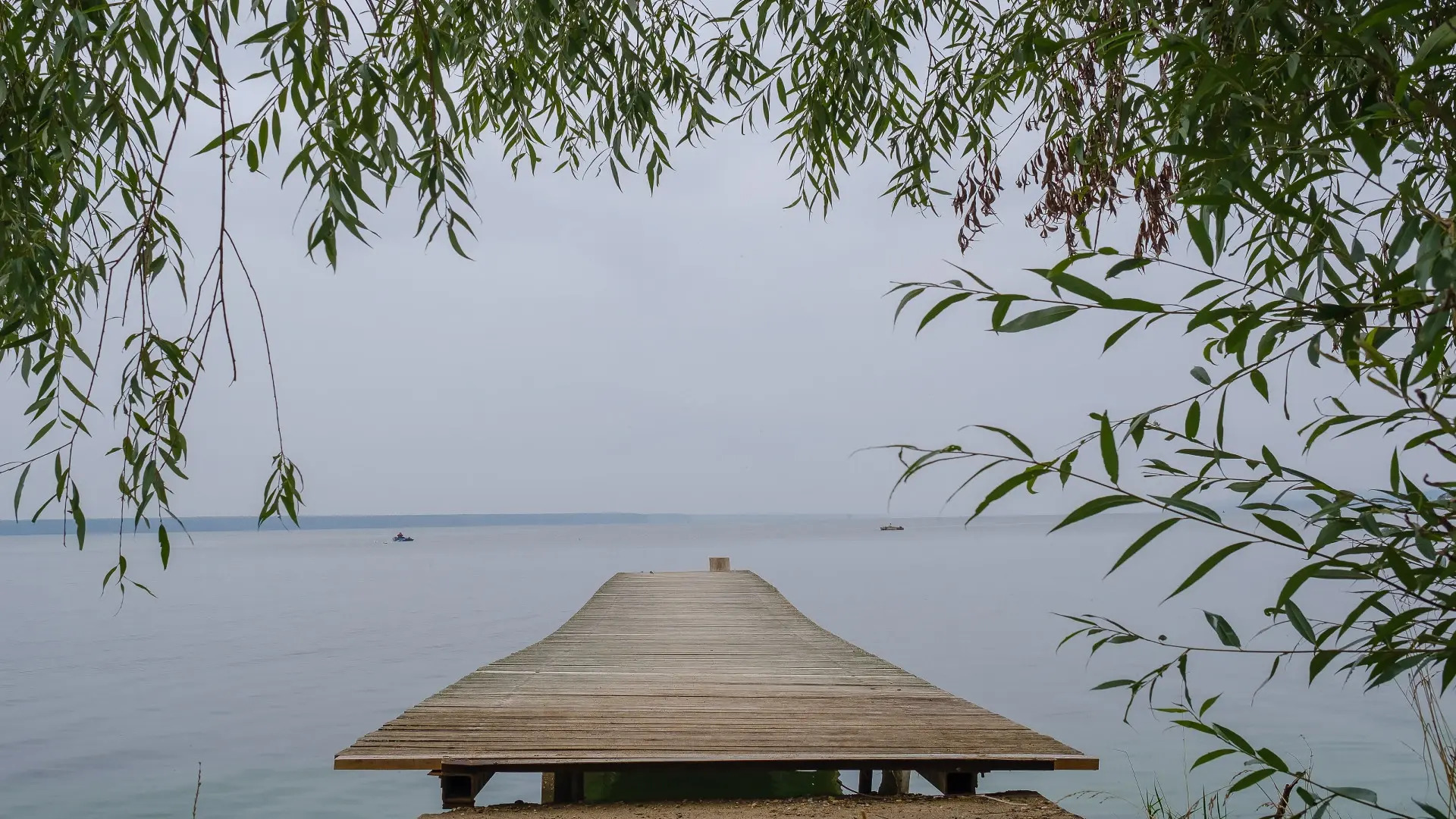 Оленья Застава