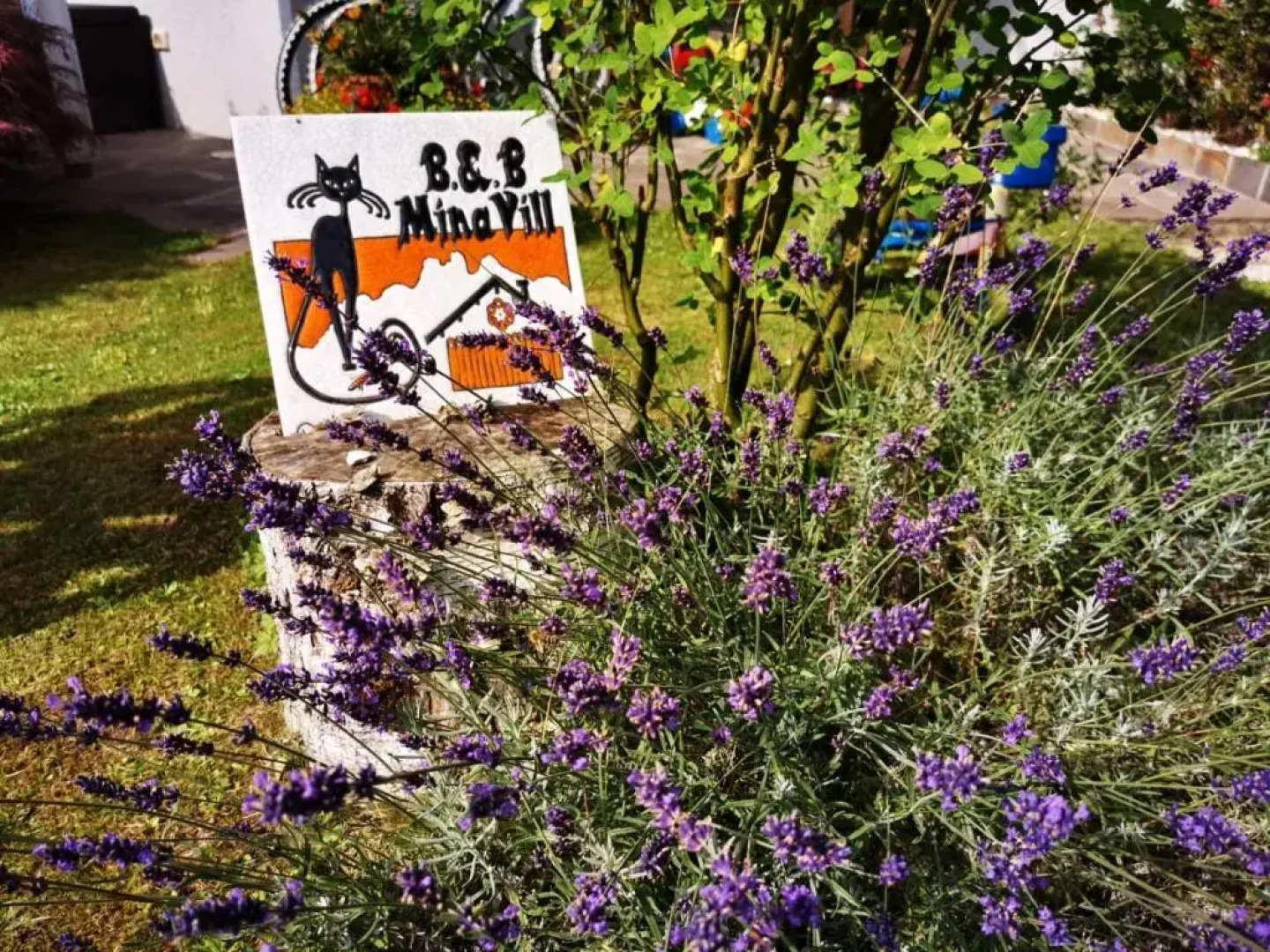 MinaVill la casa sulle Dolomiti