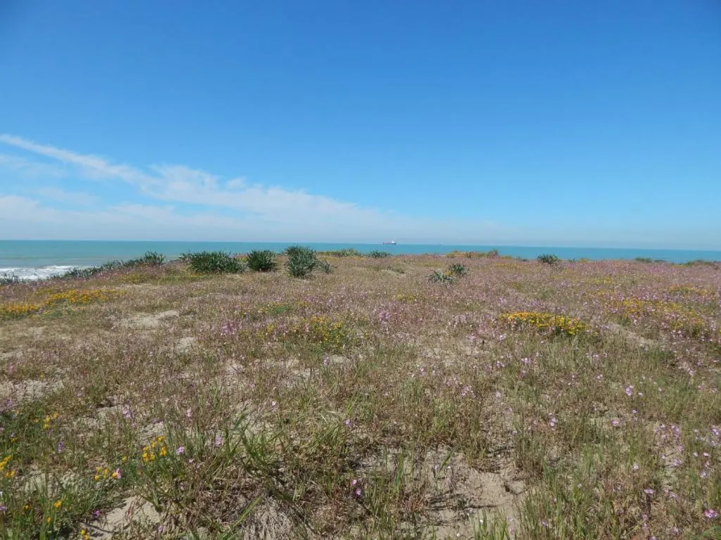 Residence Stabilimento Roma