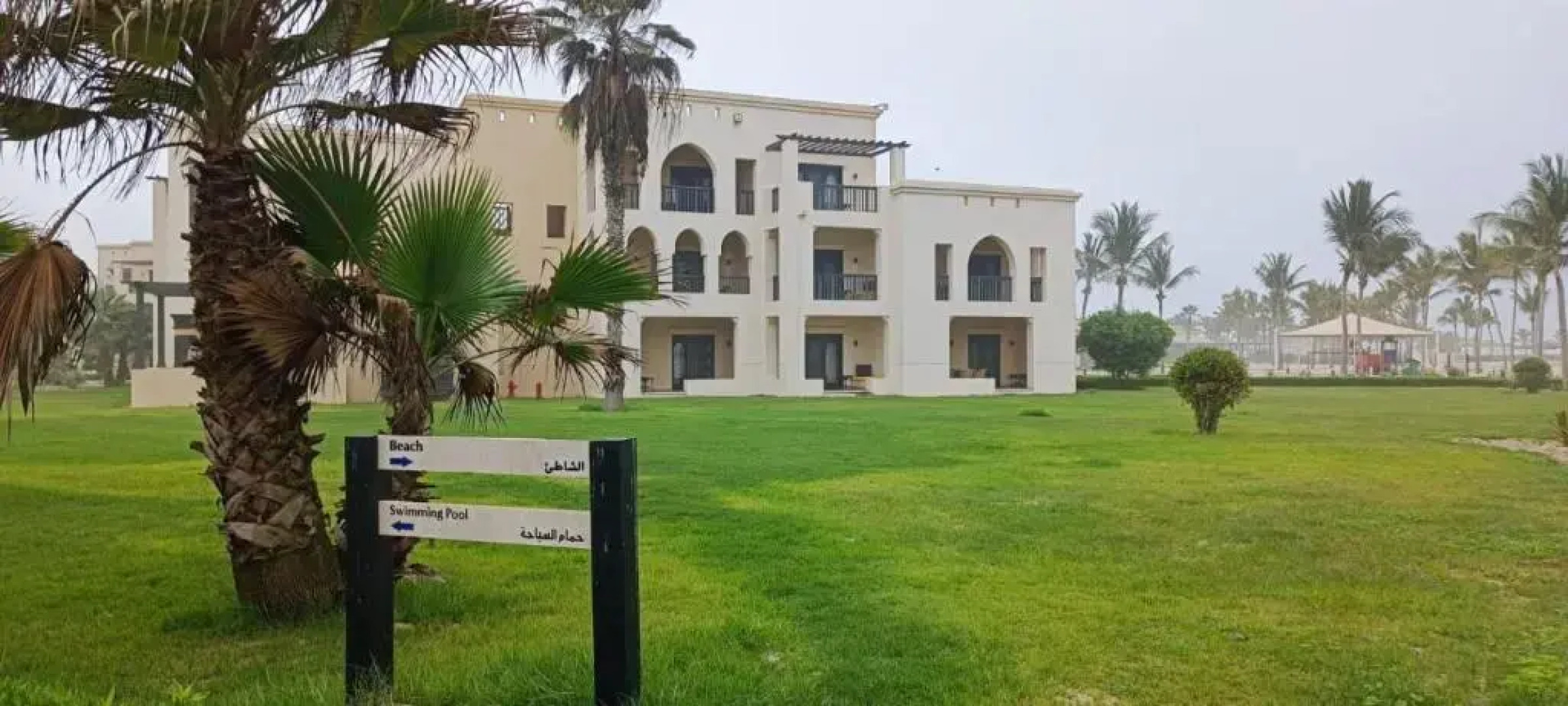 Acacia Flower AC 8-201