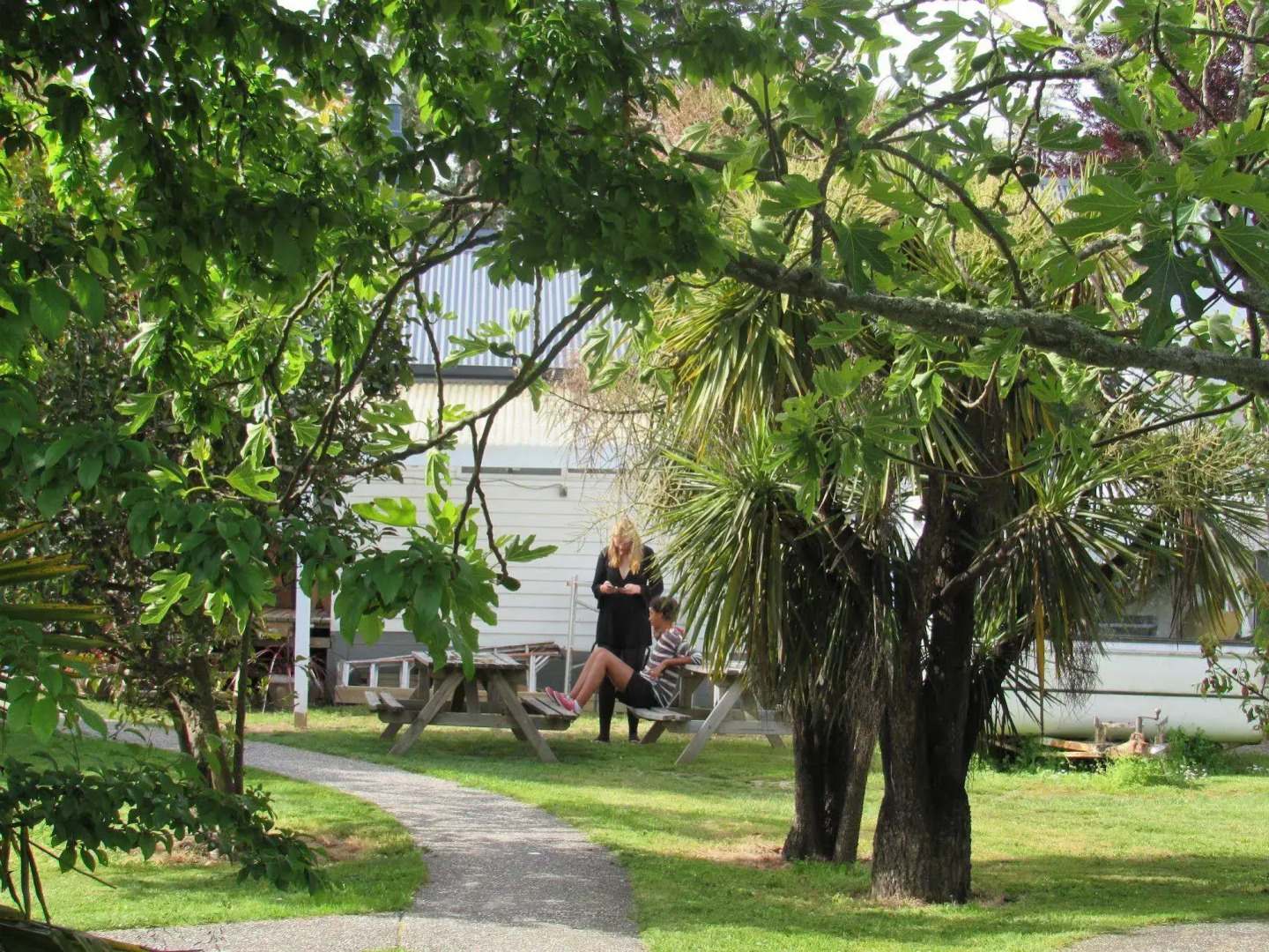 The White Elephant Accommodation - Hostel