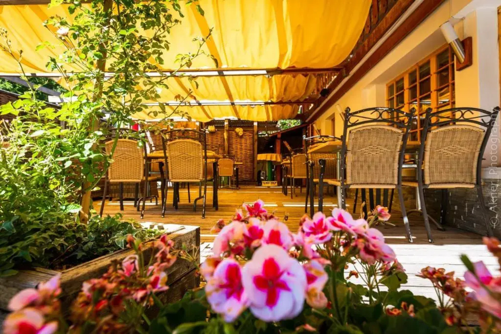 Hôtel Restaurant Les Lilas