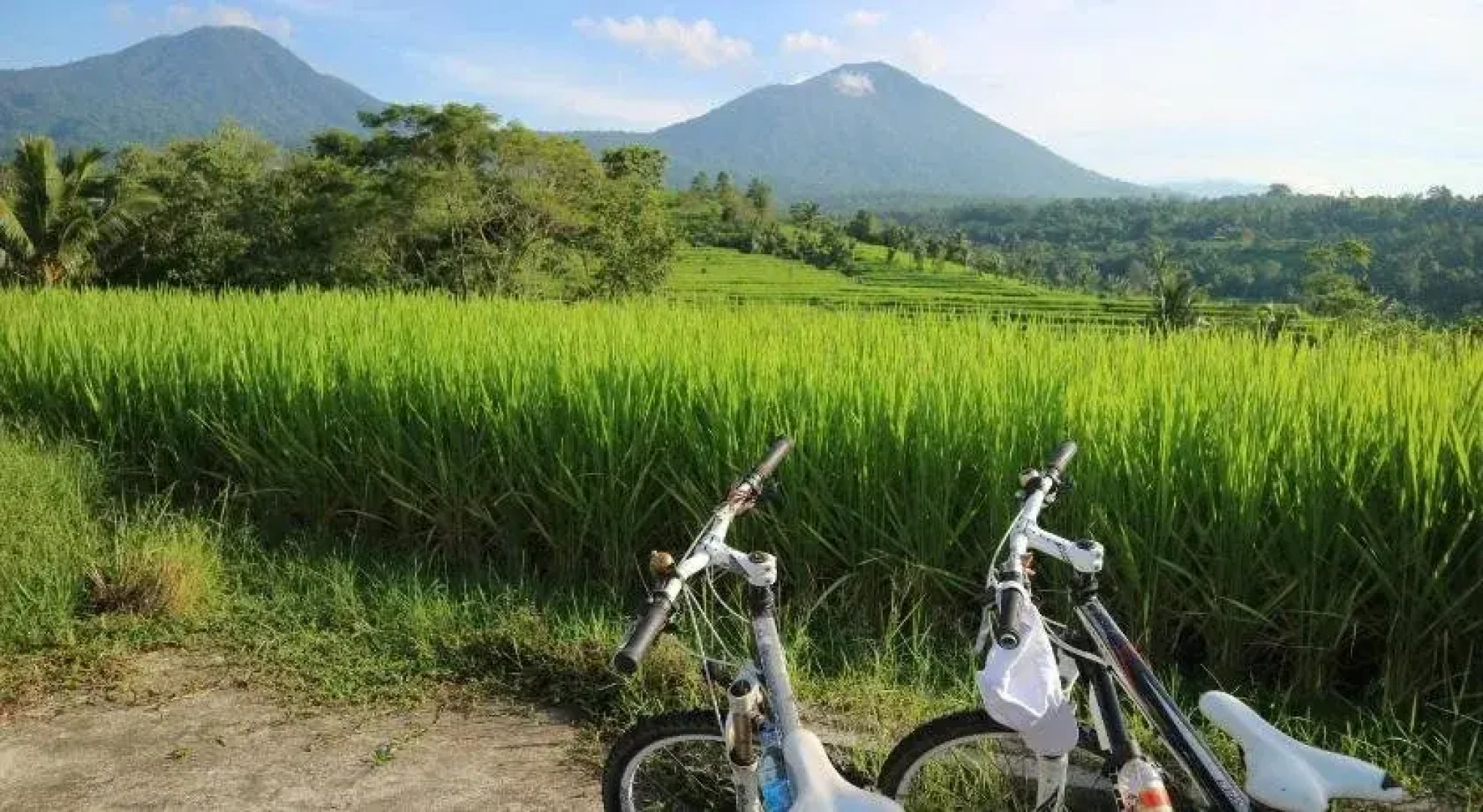 Sang Giri - Mountain Glamping Camp