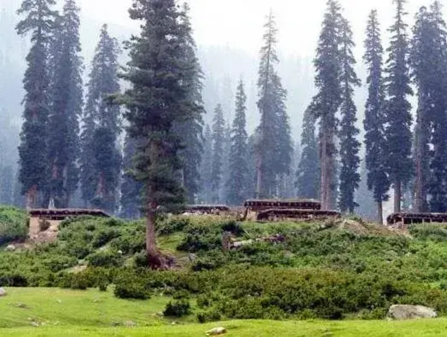 Paradise Camping Resort